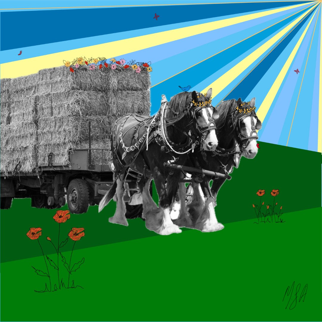 2 horse power