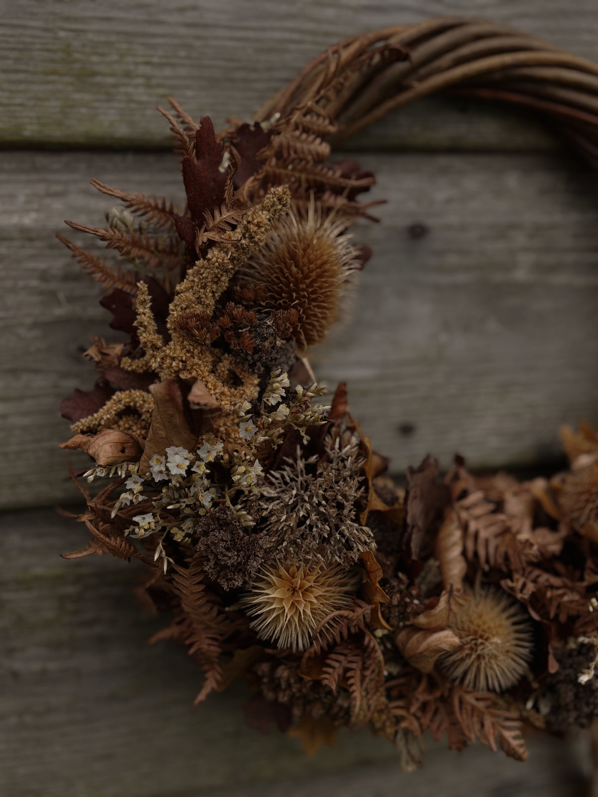 A rustic dried flower and botanical wreath made from brown twigs, featuring dried ferns, seed heads, leaves, and lichen, displayed against a weathered gray wooden background.