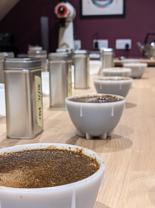 Coffee Tasting & Roastery Tour - 13 June 25